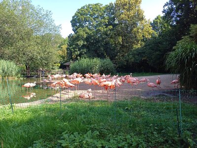 ZOO Praha