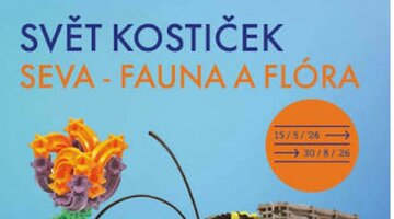Svět kostiček